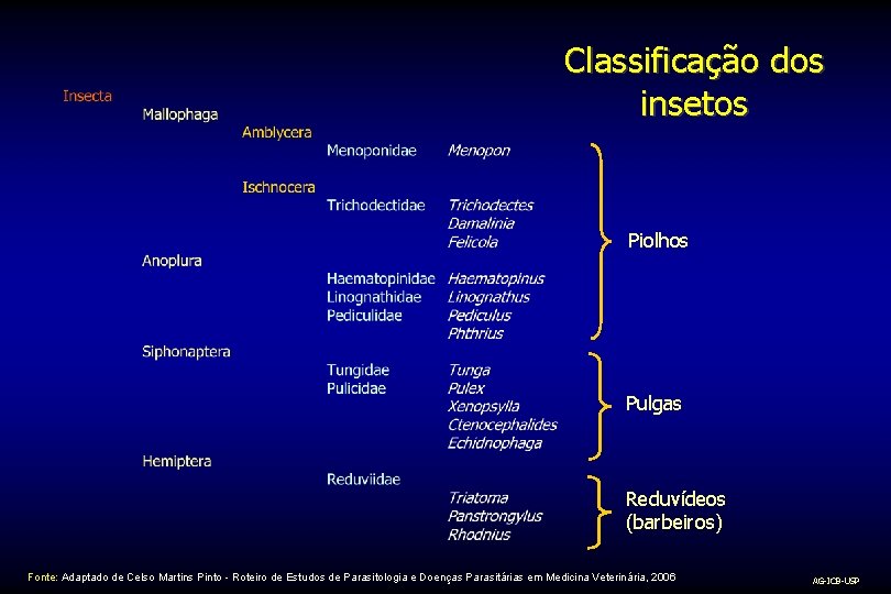 Classificação dos insetos Piolhos Pulgas Reduvídeos (barbeiros) Fonte: Adaptado de Celso Martins Pinto -