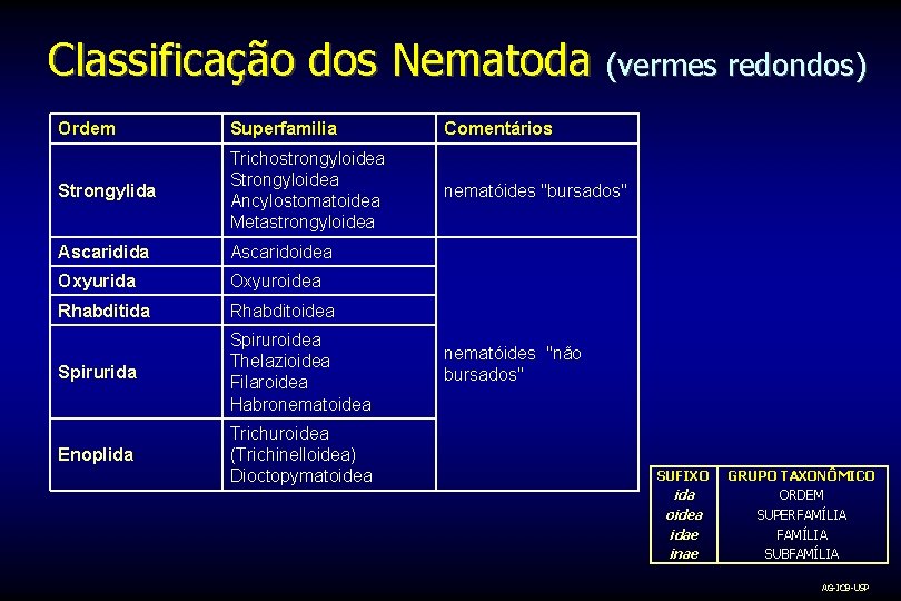 Classificação dos Nematoda (vermes redondos) Ordem Superfamilia Comentários Strongylida Trichostrongyloidea Strongyloidea Ancylostomatoidea Metastrongyloidea nematóides