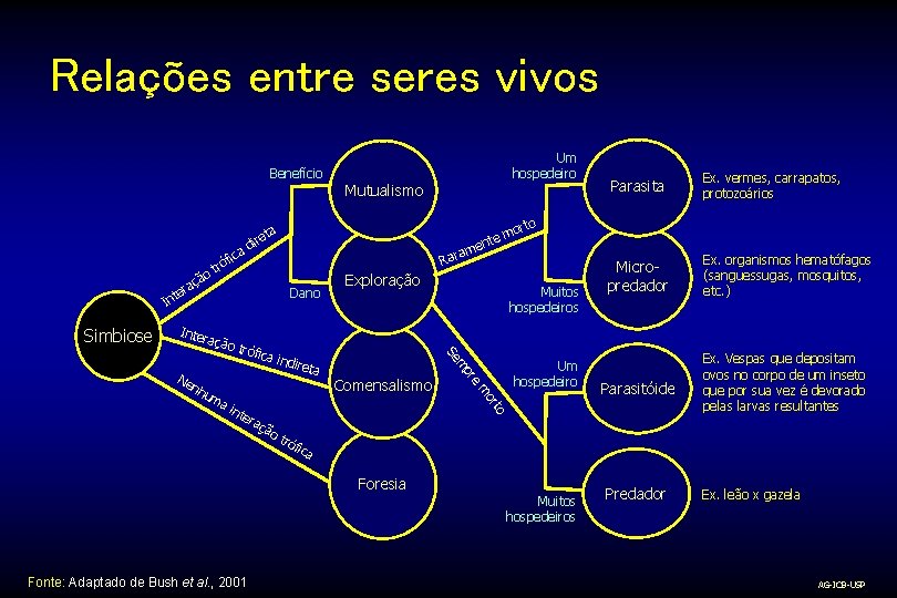 Relações entre seres vivos Benefício c ófi r ot ã raç e t In