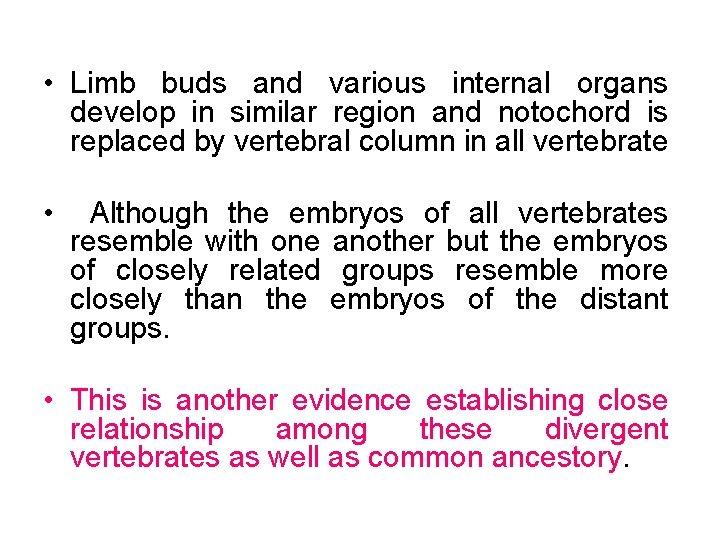  • Limb buds and various internal organs develop in similar region and notochord