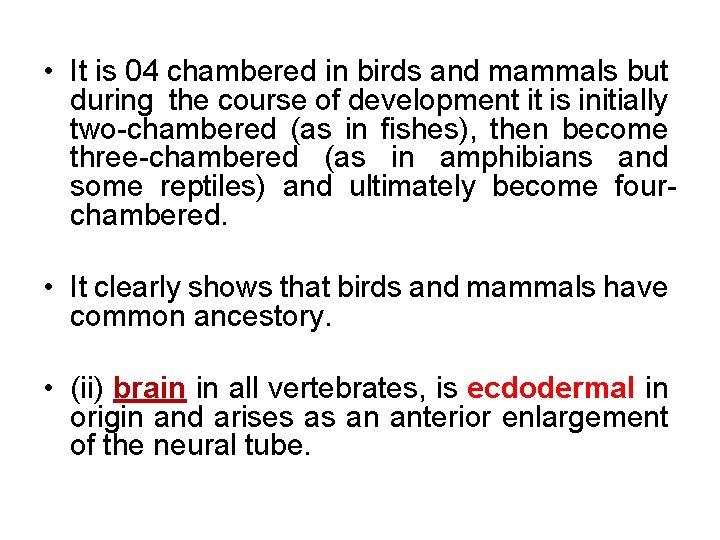  • It is 04 chambered in birds and mammals but during the course