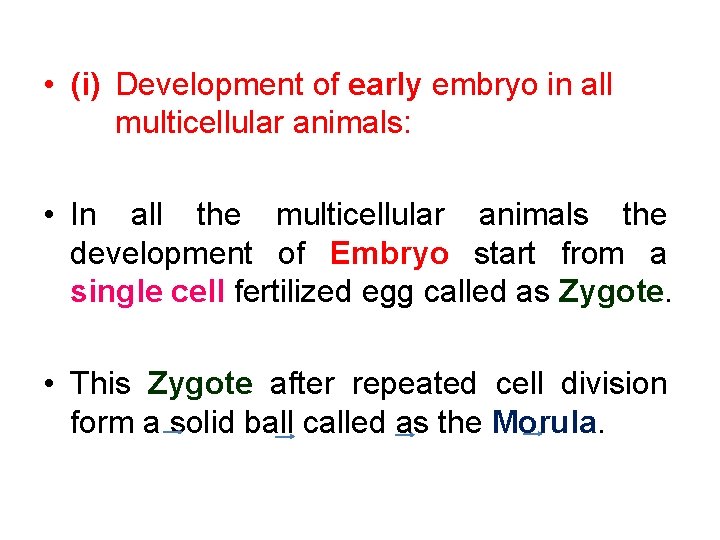  • (i) Development of early embryo in all multicellular animals: • In all