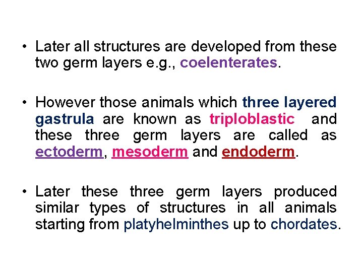  • Later all structures are developed from these two germ layers e. g.