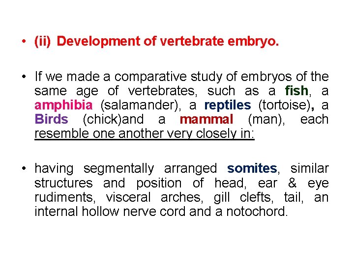  • (ii) Development of vertebrate embryo. • If we made a comparative study