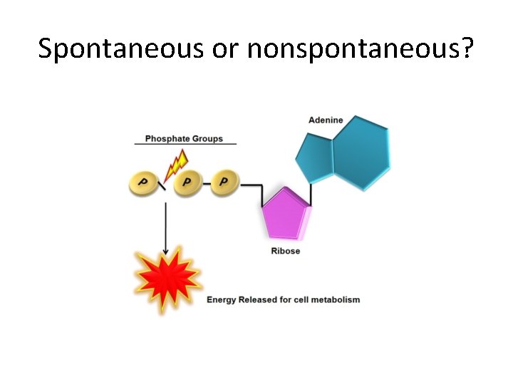 Spontaneous or nonspontaneous? 