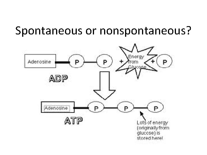 Spontaneous or nonspontaneous? 