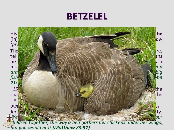 BETZELEL His name comes from the combination of three Hebrew words: be (in), tzel