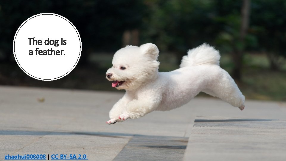 The dog is a feather. zhaohui 008008 | CC BY-SA 2. 0 