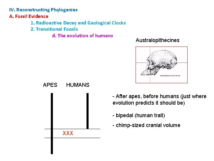 IV. Reconstructing Phylogenies A. Fossil Evidence 1. Radioactive Decay and Geological Clocks 2. Transitional