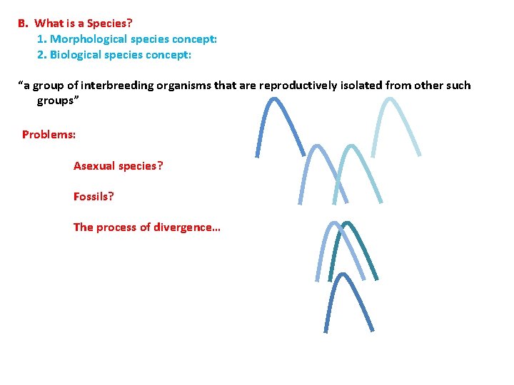 B. What is a Species? 1. Morphological species concept: 2. Biological species concept: “a