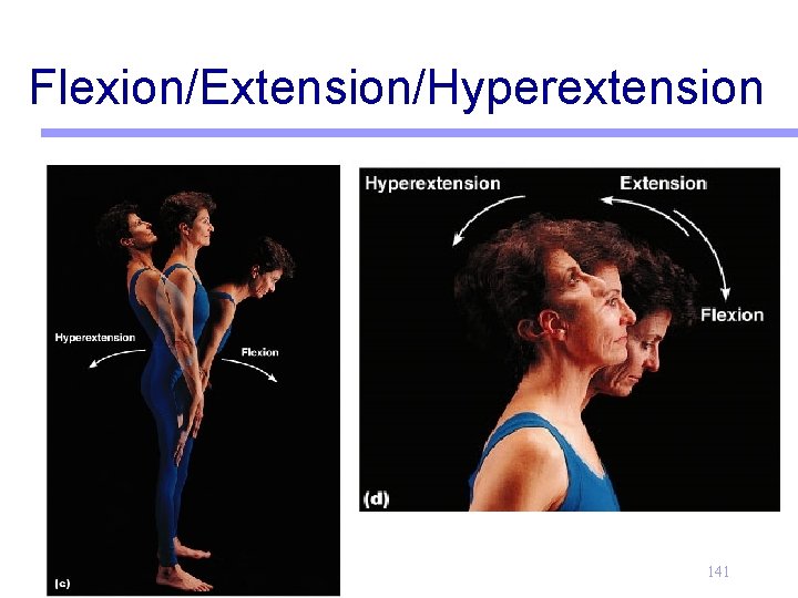 Flexion/Extension/Hyperextension 141 