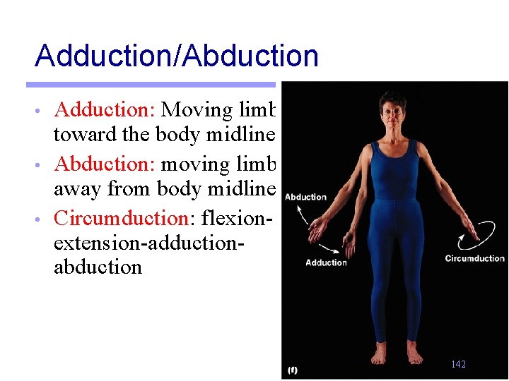 Adduction/Abduction • • • Adduction: Moving limb toward the body midline Abduction: moving limb