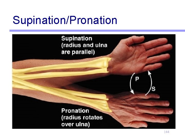Supination/Pronation 144 