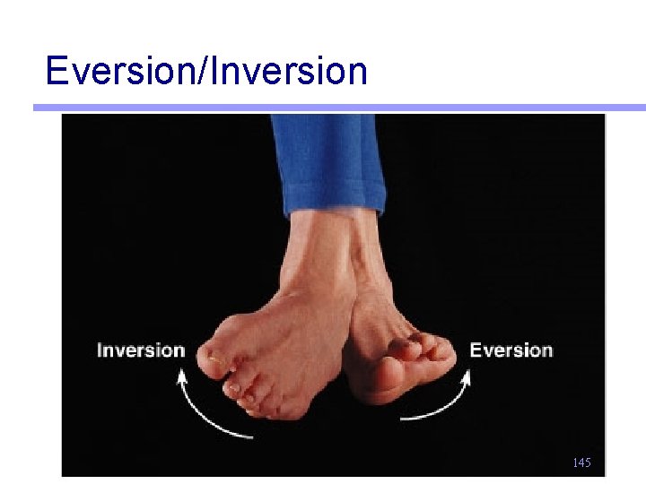 Eversion/Inversion 145 