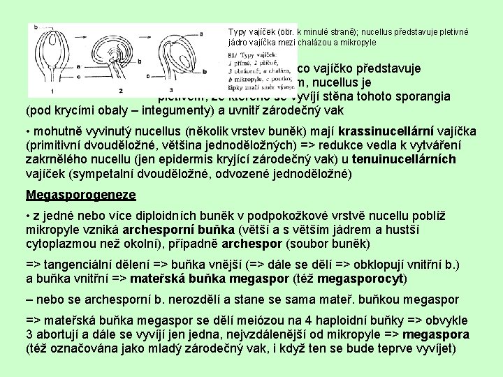 Typy vajíček (obr. k minulé straně); nucellus představuje pletivné jádro vajíčka mezi chalázou a
