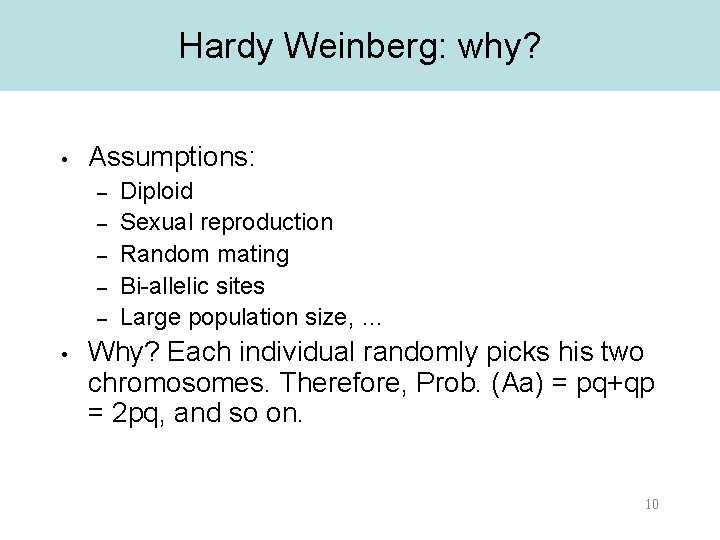 Hardy Weinberg: why? • Assumptions: – – – • Diploid Sexual reproduction Random mating