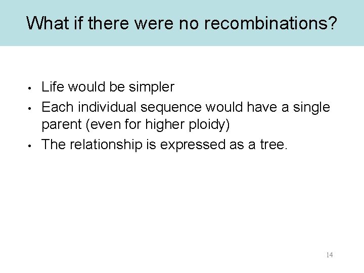 What if there were no recombinations? • • • Life would be simpler Each