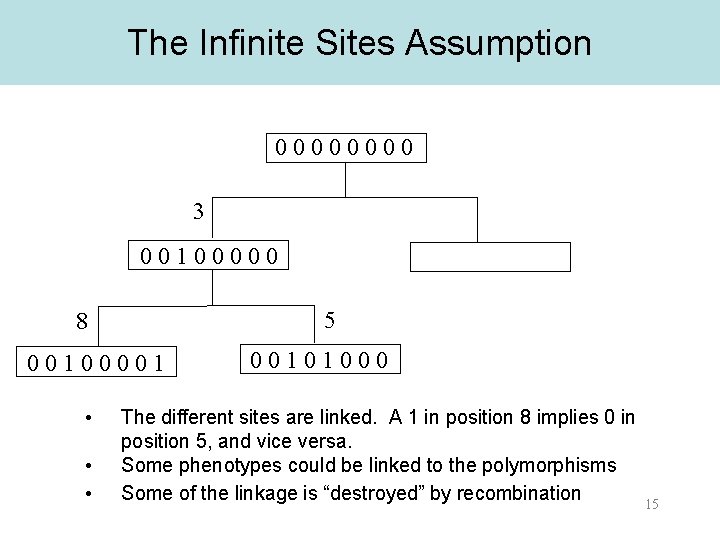 The Infinite Sites Assumption 0000 3 00100000 5 8 00100001 • • • 00101000