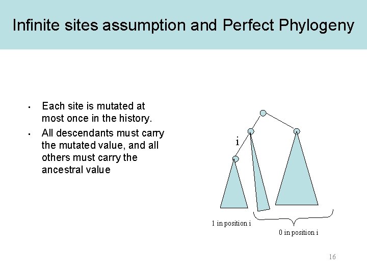 Infinite sites assumption and Perfect Phylogeny • • Each site is mutated at most