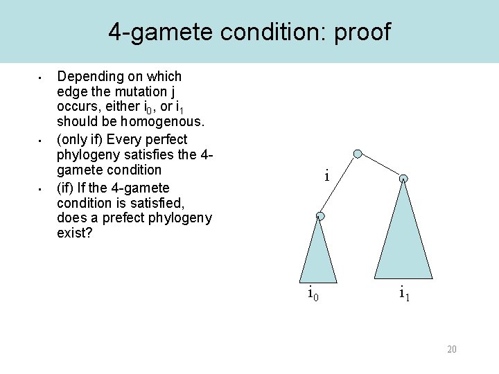 4 -gamete condition: proof • • • Depending on which edge the mutation j