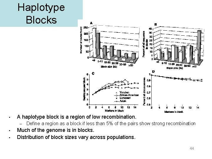 Haplotype Blocks • A haplotype block is a region of low recombination. – •