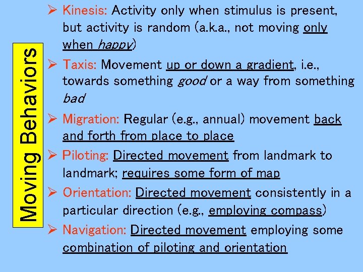 Moving Behaviors Ø Kinesis: Activity only when stimulus is present, but activity is random