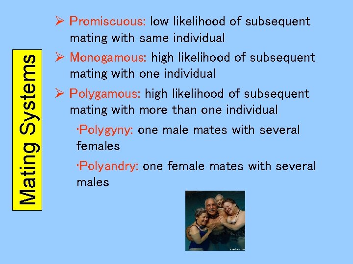 Mating Systems Ø Promiscuous: low likelihood of subsequent mating with same individual Ø Monogamous: