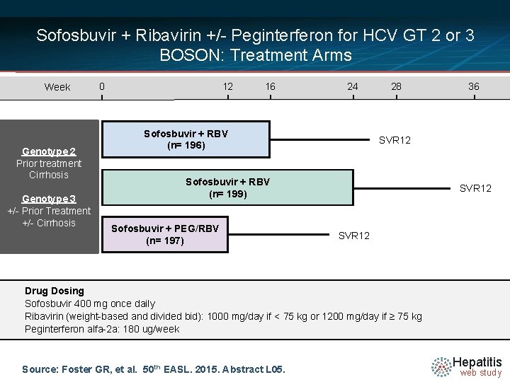 Sofosbuvir + Ribavirin +/- Peginterferon for HCV GT 2 or 3 BOSON: Treatment Arms