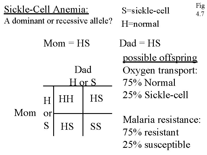 Sickle-Cell Anemia: S=sickle-cell A dominant or recessive allele? H=normal Mom = HS Dad H