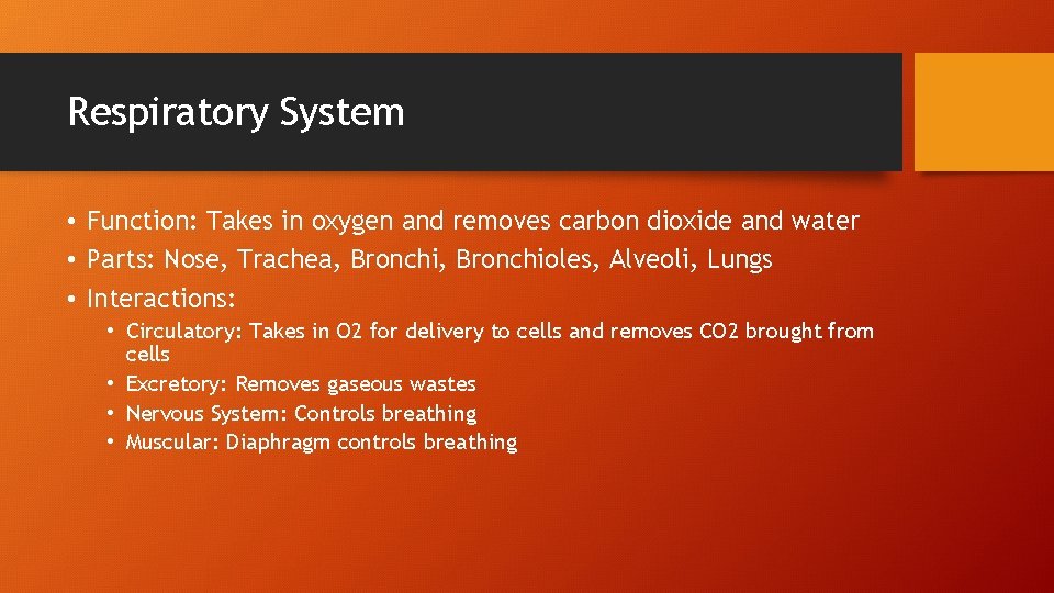 Respiratory System • Function: Takes in oxygen and removes carbon dioxide and water •