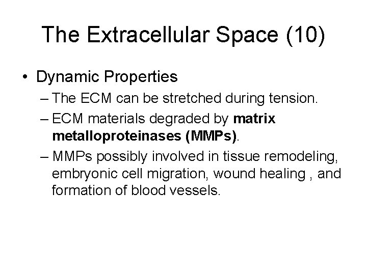 The Extracellular Space (10) • Dynamic Properties – The ECM can be stretched during