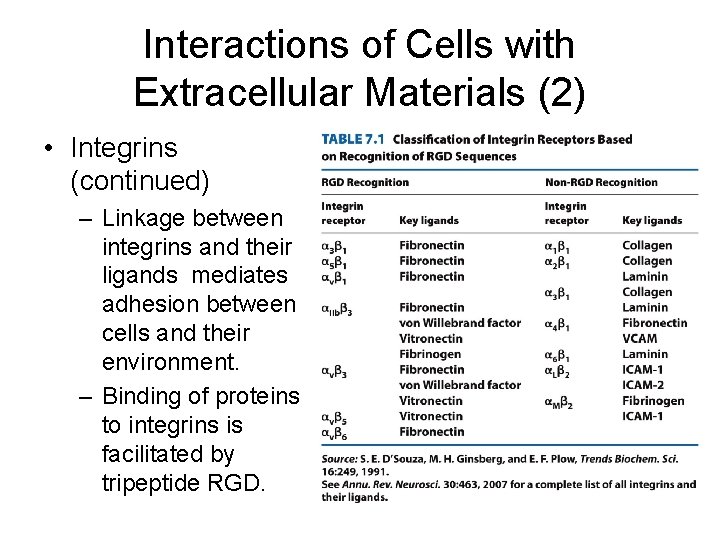 Interactions of Cells with Extracellular Materials (2) • Integrins (continued) – Linkage between integrins