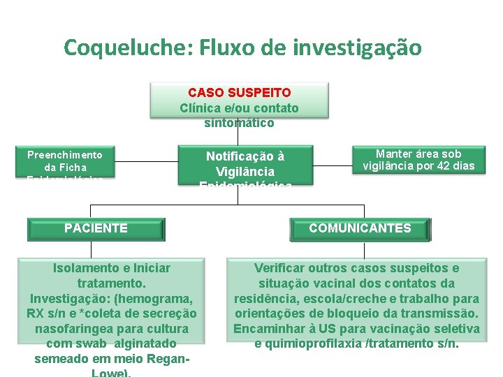 Coqueluche: Fluxo de investigação CASO SUSPEITO Clínica e/ou contato sintomático Preenchimento da Ficha Epidemiológica