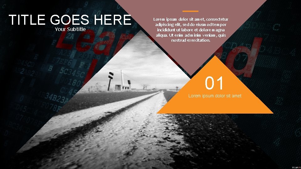 TITLE GOES HERE Your Subtitle Lorem ipsum dolor sit amet, consectetur adipiscing elit, sed