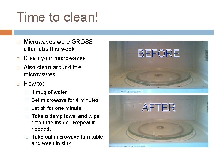 Time to clean! Microwaves were GROSS after labs this week Clean your microwaves Also