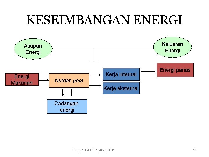KESEIMBANGAN ENERGI Keluaran Energi Asupan Energi Makanan Kerja internal Energi panas Nutrien pool Kerja