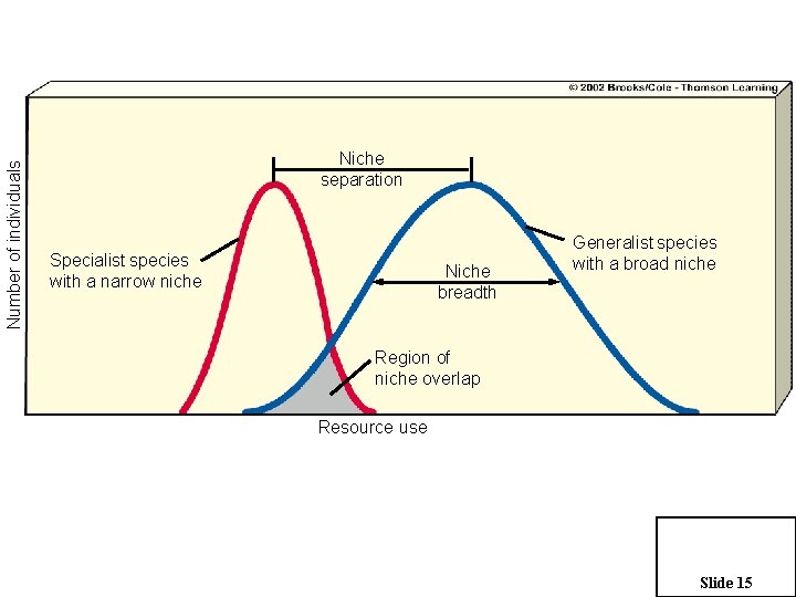 Number of individuals Niche separation Specialist species with a narrow niche Niche breadth Generalist