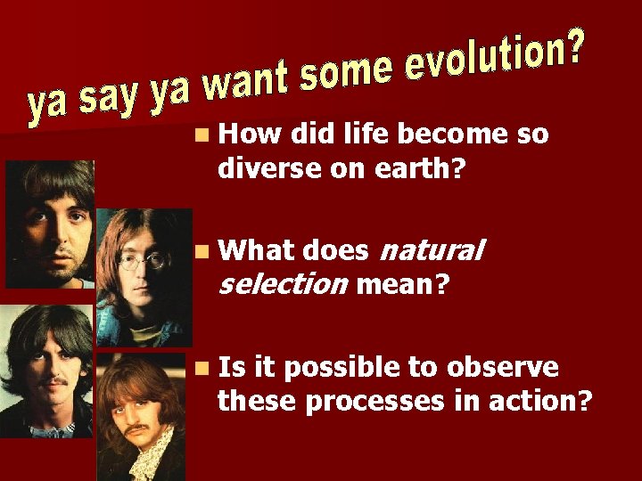 n How did life become so diverse on earth? does natural selection mean? n