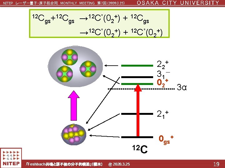 NITEP レーザー量子・原子核合同 MONTHLY MEETING 第 7回 (2020. 3. 25) 12 C 12 C*(0 +)
