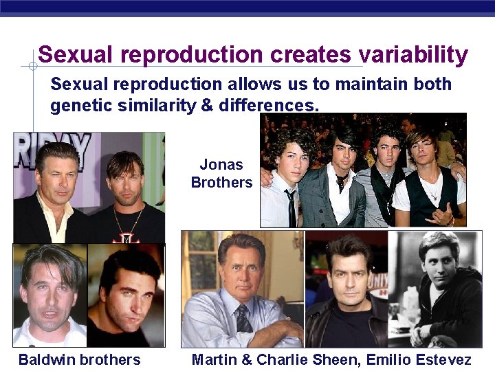 Sexual reproduction creates variability Sexual reproduction allows us to maintain both genetic similarity &