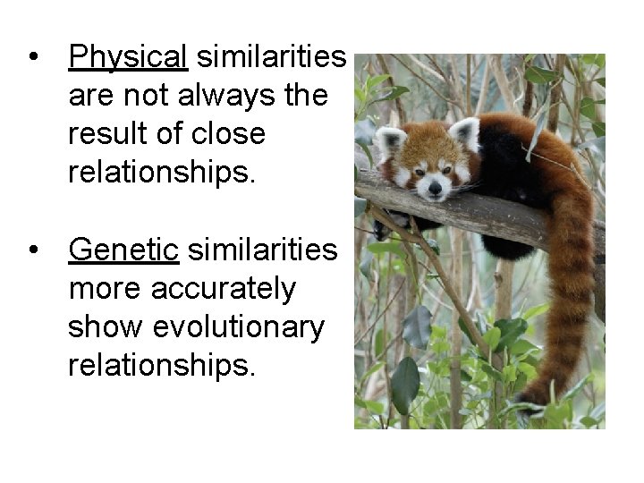  • Physical similarities are not always the result of close relationships. • Genetic