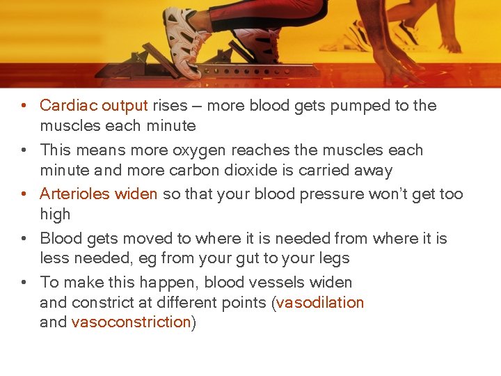  • Cardiac output rises — more blood gets pumped to the muscles each