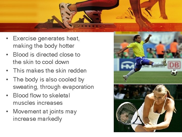  • Exercise generates heat, making the body hotter • Blood is directed close
