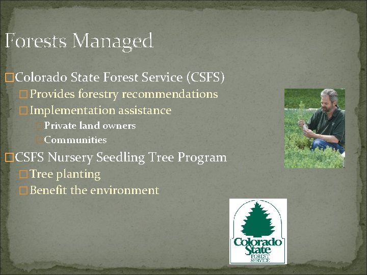 Forests Managed �Colorado State Forest Service (CSFS) �Provides forestry recommendations �Implementation assistance �Private land