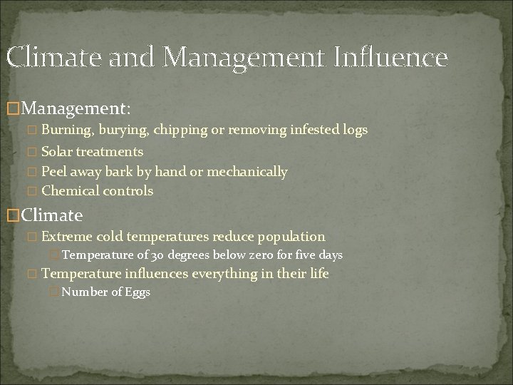 Climate and Management Influence �Management: � Burning, burying, chipping or removing infested logs �