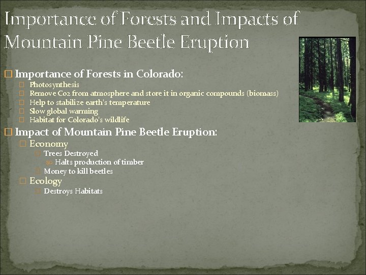 Importance of Forests and Impacts of Mountain Pine Beetle Eruption � Importance of Forests