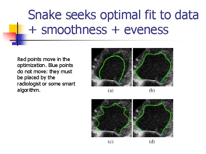 Snake seeks optimal fit to data + smoothness + eveness Red points move in