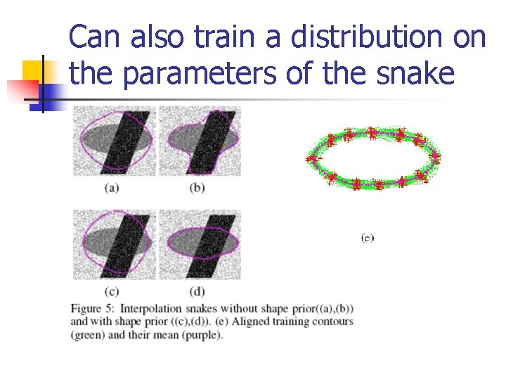 Can also train a distribution on the parameters of the snake 