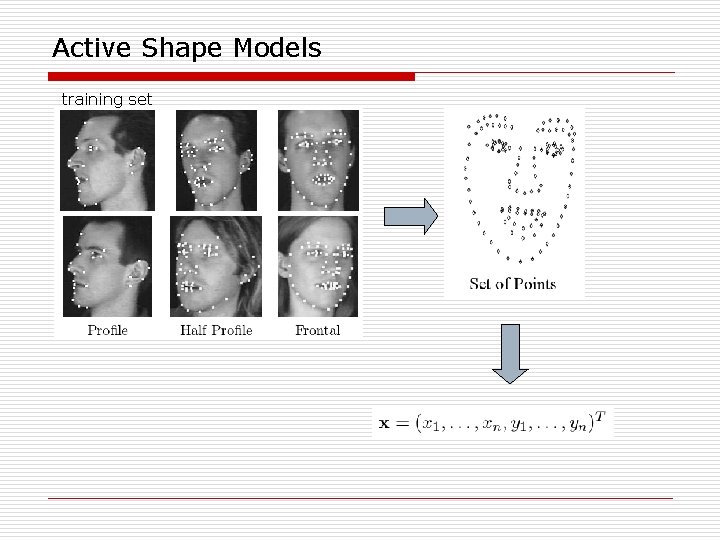 Active Shape Models training set 
