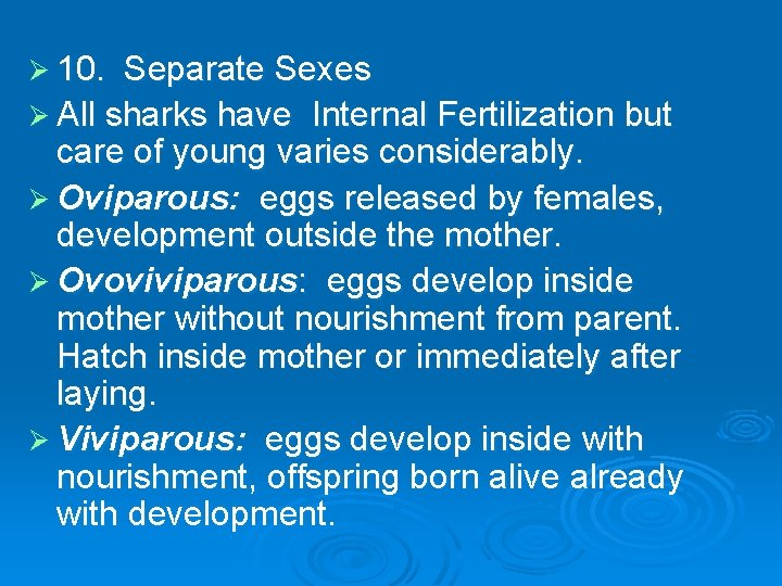 Ø 10. Separate Sexes Ø All sharks have Internal Fertilization but care of young